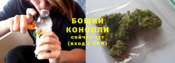 ГАЛЛЮЦИНОГЕННЫЕ ГРИБЫ Михайловск