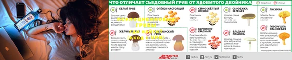 кокаин Михайлов