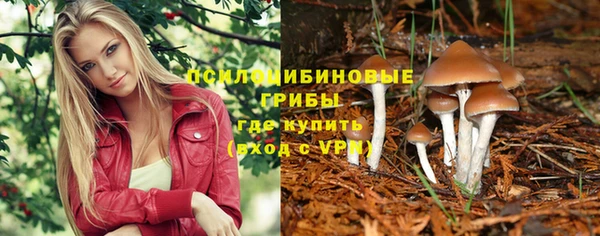 ГАЛЛЮЦИНОГЕННЫЕ ГРИБЫ Михайловск