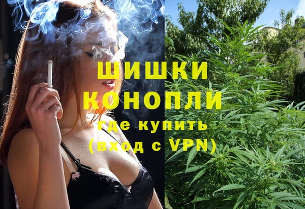 ГАЛЛЮЦИНОГЕННЫЕ ГРИБЫ Михайловск